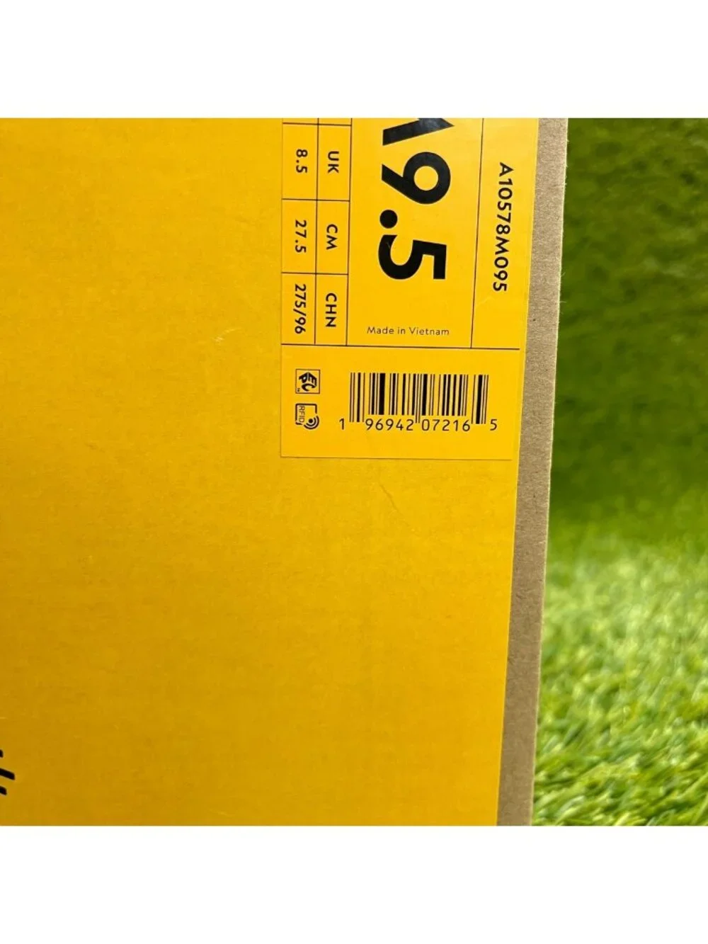 allbirds please review